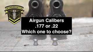 Airgun Calibers 177 or 22 Which one to choose [upl. by Savart]