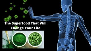 The Amazing Health Benefits Of Spirulina And Chlorella [upl. by Akili]