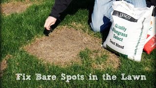 How To Seed And Repair Bare Spots in the Lawn [upl. by Elamor384]