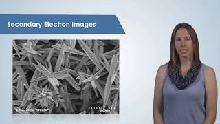 Introduction to the Scanning Electron Microscope SEM [upl. by Elad76]