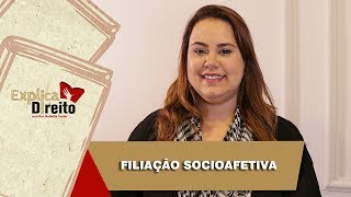 Explica Direito Filiação Socioafetiva  2019 [upl. by Eidnim]