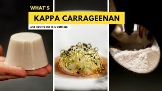 Kappa Carrageenan 101 Mastering the Culinary Power of this Seaweed Gel [upl. by Aissila]