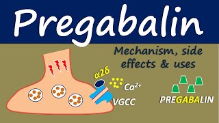 Pregabalin  Mechanism side effect and uses [upl. by Maples]