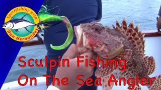 Sculpin Fishing In The Sea Angler  Sport Fishing With Dan Hernandez [upl. by Enomar]