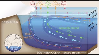 The ocean as a buffer to climate change [upl. by Rebmyk]