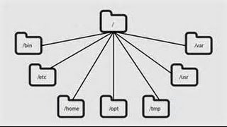 Learning the Linux File System [upl. by Ellener]