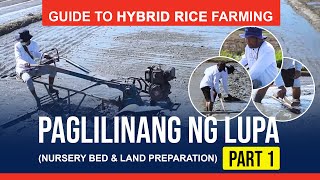 Guide to Hybrid Rice Farming  Part 1 Nursery bed amp land preparation [upl. by Icat]