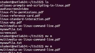 Linux Command Line  Directories and Files [upl. by Norat]