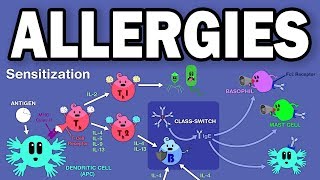 ALLERGIESTYPE I HYPERSENSITIVITY [upl. by Siramaj]