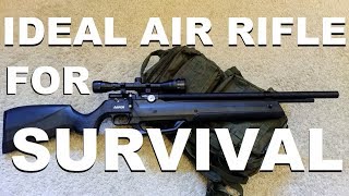 The Ideal Air Rifle for Survival PCP with builtin Pump [upl. by Damek551]