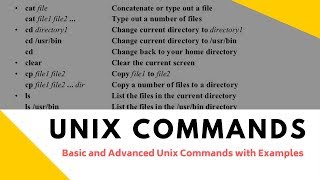 Basic and Advanced Unix Commands with Examples Tutorial 2 Part A [upl. by Horlacher]