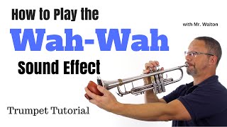 WahWah Sound Effect Trumpet Tutorial Plunger Mute [upl. by Moersch242]