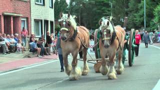 Belgian Draft HorsesKeerbergenKarrenen wagenstoet2013 [upl. by Mandych426]