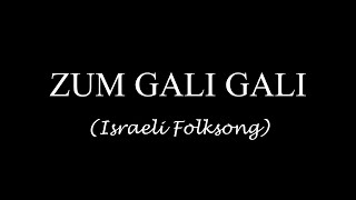 Zum Gali Gali Lyrics  Israeli Folksong [upl. by Einhapets711]