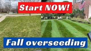 Lawn Overseeding In Fall How YOU Can Transform Your Lawn [upl. by Le]