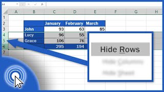 How to Hide Rows in Excel [upl. by Turmel]