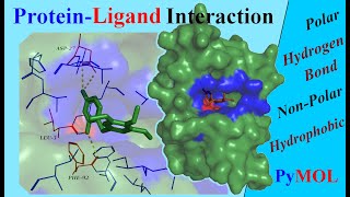 Analysing ProteinLigand Interactions  Tutorial [upl. by Goldner]