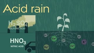 Acidic rainEffects of Acid Rain [upl. by Mordy]