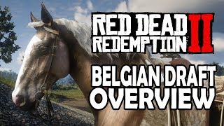 Red Dead Redemption 2 Horses  Belgian Draft Overview [upl. by Aikal]