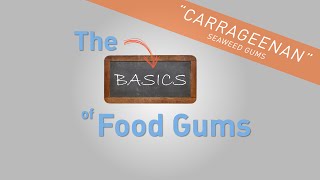 Carrageenan  The Basics of Food Gums [upl. by Aelyak]