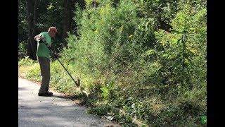 The most overgrown yard and landscape cleanup EVER [upl. by Ahtis509]