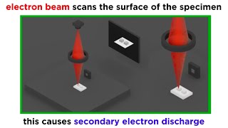 Electron Microscopy TEM and SEM [upl. by Antonietta]