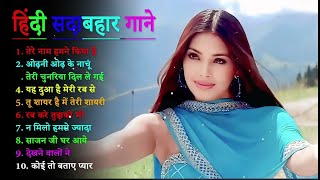 Dil Tera Deewana – Lily Matinez  Official Exclusive [upl. by Kcira]