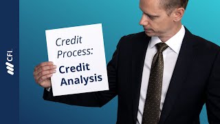 Credit Process Credit Analysis [upl. by Karly]