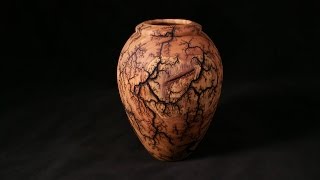 Lichtenberg Fractal Burned Vessel [upl. by Cas]