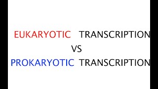 Eukaryotic transcription vs Prokaryotic transcription 41 [upl. by Gertruda]