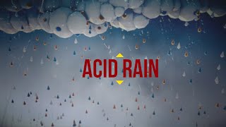 Acid Rain Animation [upl. by Eidoc561]