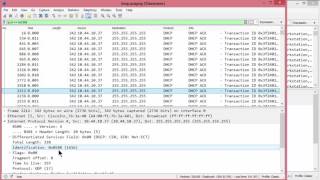 Investigating Network Loops [upl. by Peppi229]