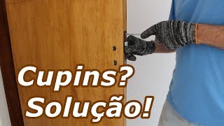 Cupins na Porta Aprenda a Evitar [upl. by Daly]