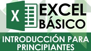 Excel Básico  Introducción para Principiantes [upl. by Attiuqihc]