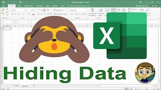 Hiding Data in Excel [upl. by Ahsieni]