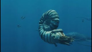 Spirals in Time What Can Ammonites Teach Us About Life in Ancient Oceans’ with James Witts [upl. by Strong]