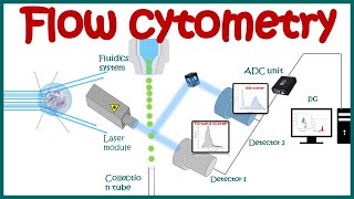 Flow cytometry  basic principles  What the use of flow cytometry   Cell sorting by FACS [upl. by Aihtyc]