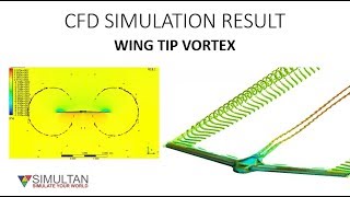 WING TIP VORTICES CFD RESULT [upl. by Ramma]