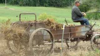 Belgian Draft Horse Farming Spreader [upl. by Dlanor]