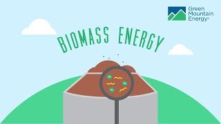 Renewable Energy 101 How Does Biomass Energy Work [upl. by Quackenbush]