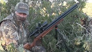 Airgun Hunting Ataman M2 30 caliber Airgun Hunt [upl. by Mackenzie]