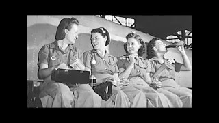 Beyond the Story American Women During World War II [upl. by Lipscomb64]