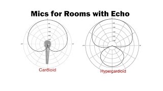 Mics for Rooms with Echo Cardioid vs Hypercardioid [upl. by Corey843]