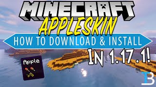 How to Download amp Install the AppleSkin Mod in Minecraft 1171 [upl. by Adalbert]