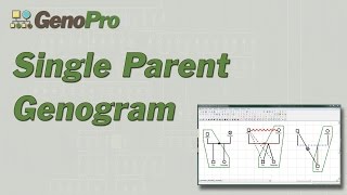 Single Parent Genogram in GenoPro [upl. by Atalaya506]