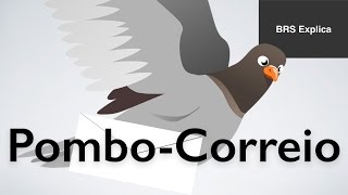 Pombo Correio  História e Curiosidades [upl. by Elliven470]