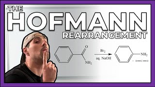 The Hofmann RearrangementRxn and Mechanism [upl. by Arrat304]