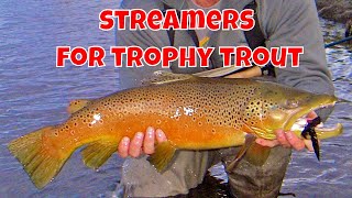 Streamers for Trophy Trout  How to Use Streamers [upl. by Eeldivad]