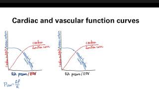 Starling Cardiac And Vascular Function Curves  Cardiovascular system  Step 1 Simplified [upl. by Susejedairam885]