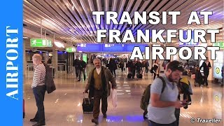 TRANSIT WALK AT FRANKFURT Airport FRA Terminal 1  Connection Flight Transfer Arriving amp Departing [upl. by Emmalee760]